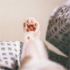 Icons-Neu-230