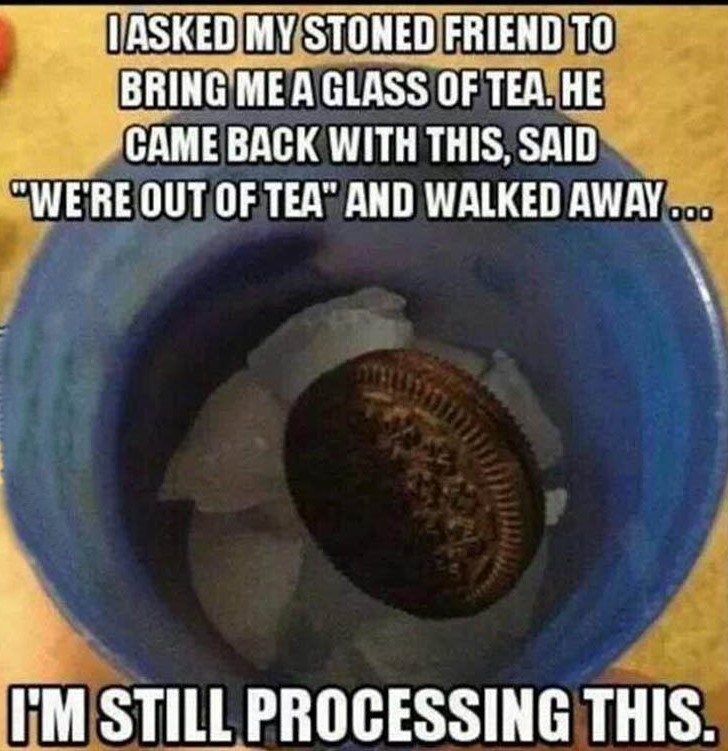 all_out_of_tea-here_s_an_oreo_on_ice.jpg