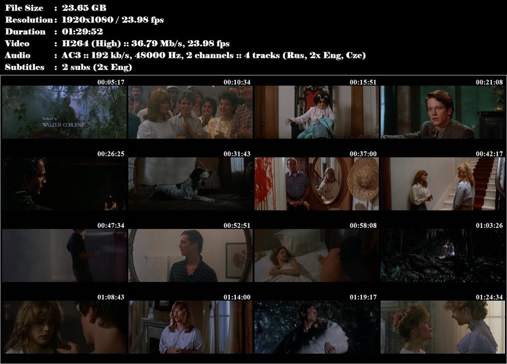 Sestry / Sister, Sister (1987)