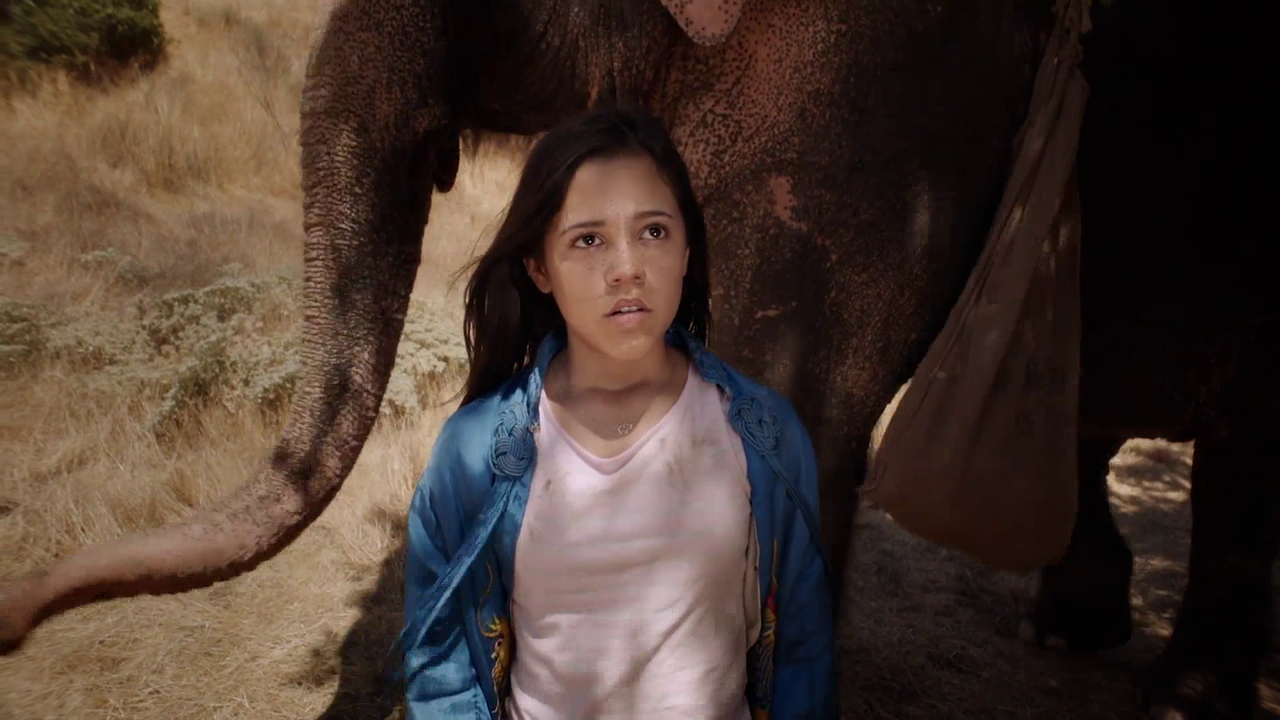 In Viaggio Con Flora 2019 iTA ENG AC3 1080p BluRay x264 iDN_CreW