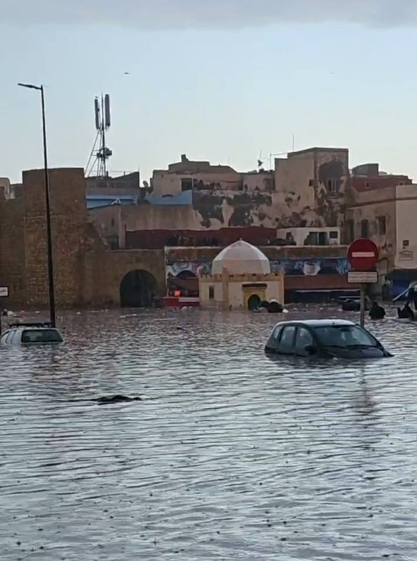 591121257-1558074355434143-7557581306158814337-n