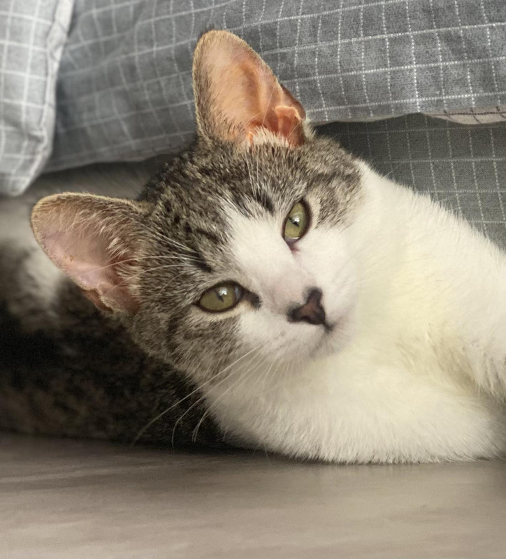 IMG-cb8062aa2b35b19bacb45c4c519b1482-V