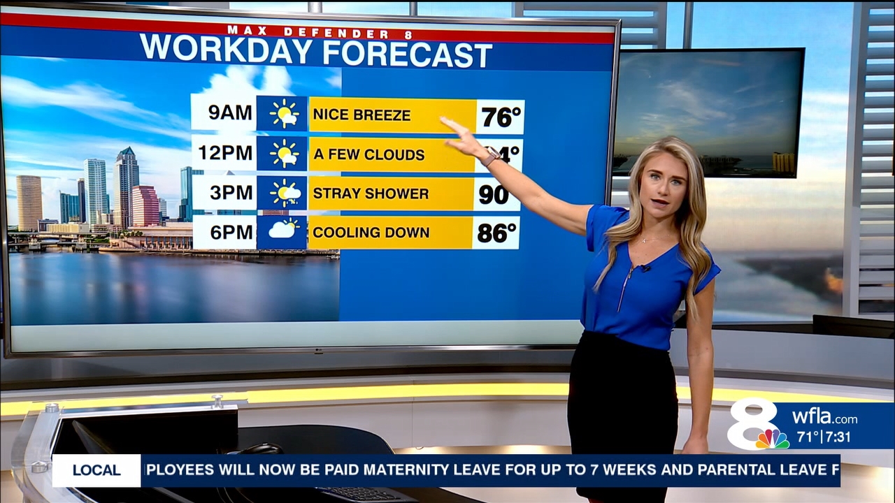 NewsChannel 8 Today at 7am_20230922_12001400.ts_snapshot_00.31.45.832