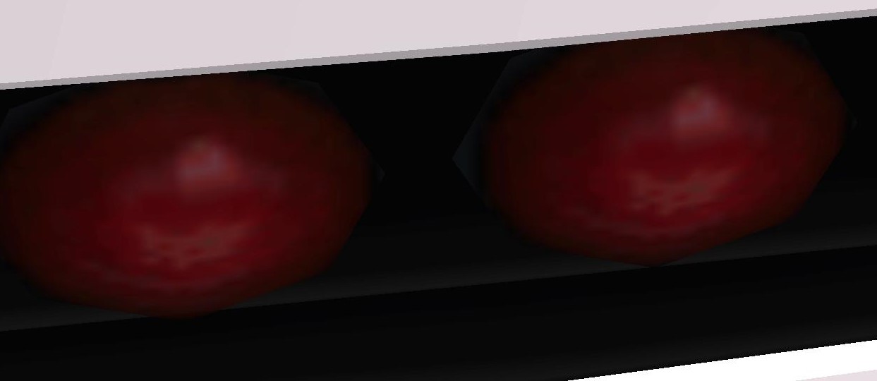 gallery331.jpg