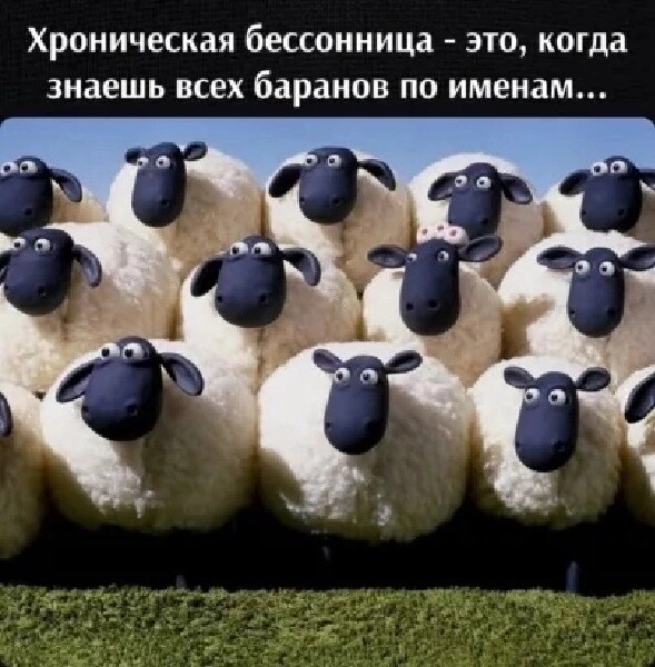 491A08D6-EBB4-41A8-8261-5DB8534B5A49