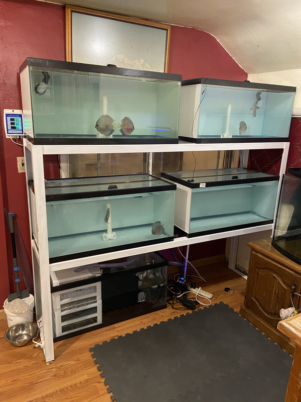 398CC6B4-9A62-4287-8ECF-34315B4432AF