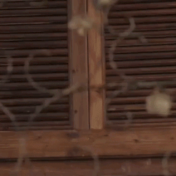 ezgif-1a93620fd7a940e9.gif