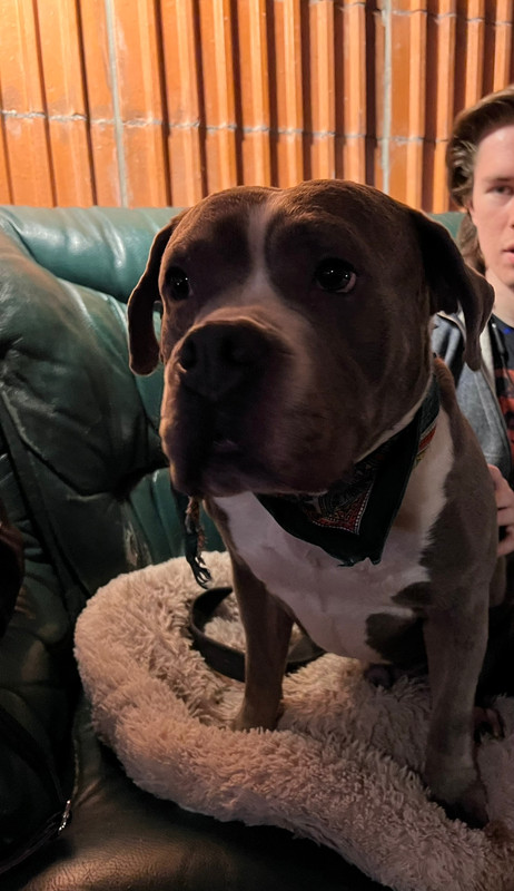 B8687BE9-8B8A-4DB4-BAF4-8A8F1F95F6D0