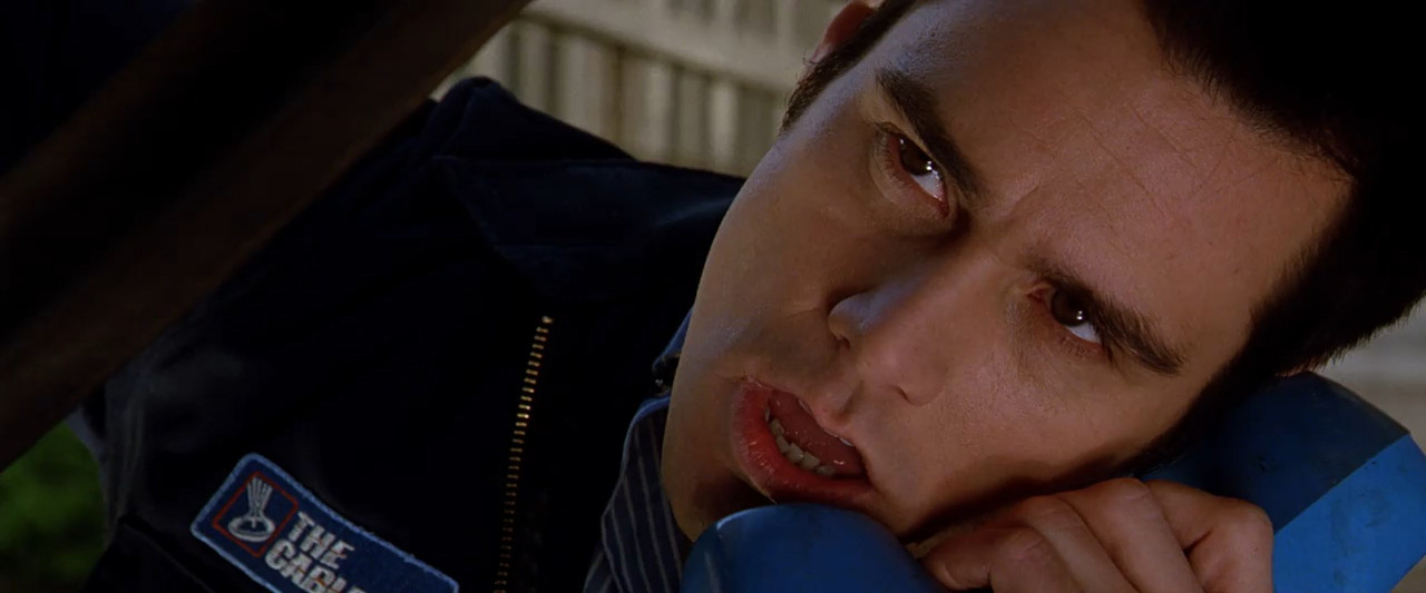 The Cable Guy 1996 BluRay [Hindi + English] 480p 720p ESub Screenshot