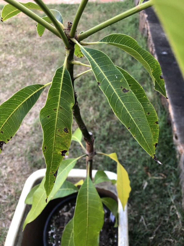 F2E0B01F-5C20-4283-ACDC-657EC1EE514A