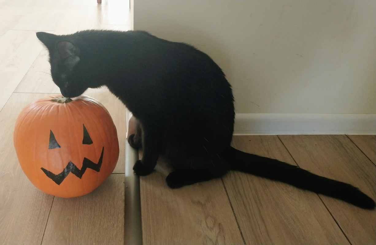 IMG 20251031 100832917 2