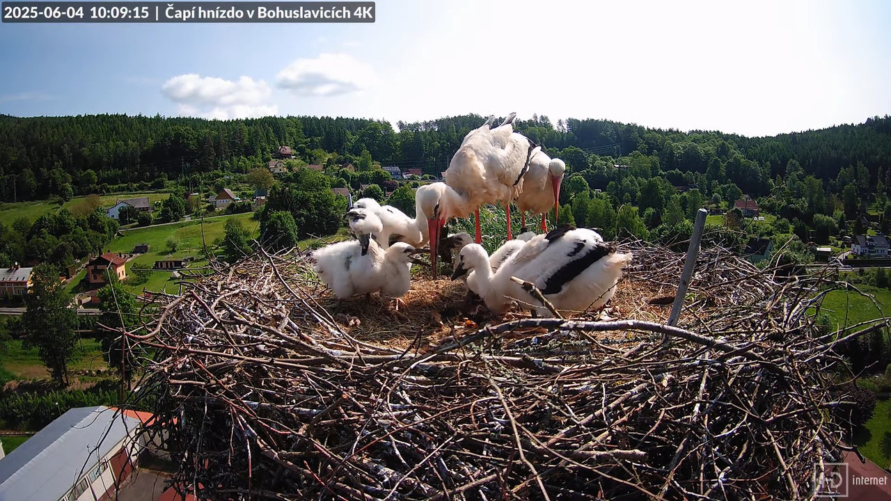 Tiešraide no KARA uzņēmuma stārķu skursteņa Bohuslavicē netālu no Trutnovas 5-50-13 screenshot