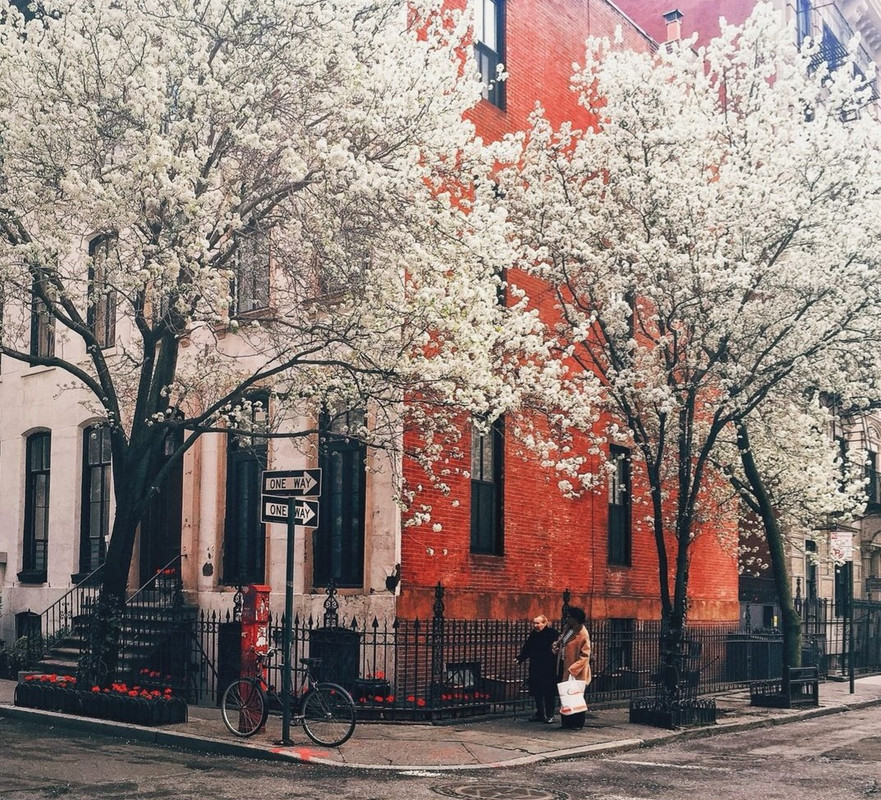 Screenshot_20240425_205714_Threads