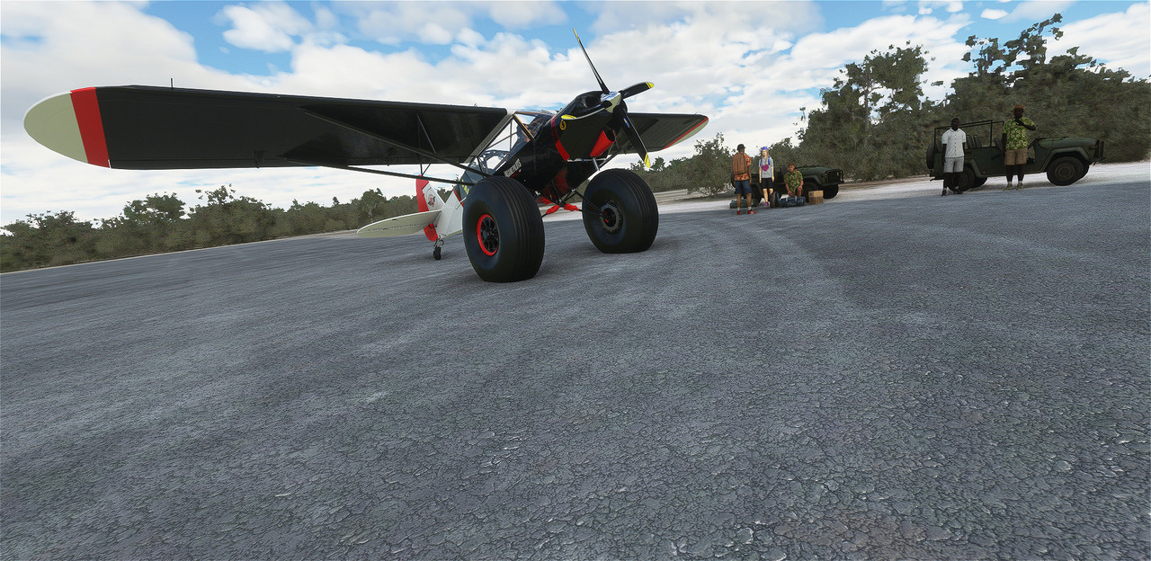Savage-Cub-20.jpg