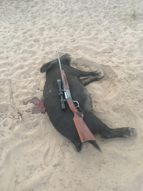 968EB59A-22D0-45FB-A43E-A9BB1C3C7A4D