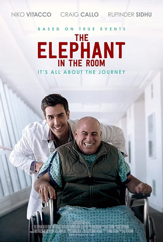 Radosne smutki / The Elephant in the Room (2020) PL.1080p.WEB-DL.x264.AC3-OzW / Lektor PL