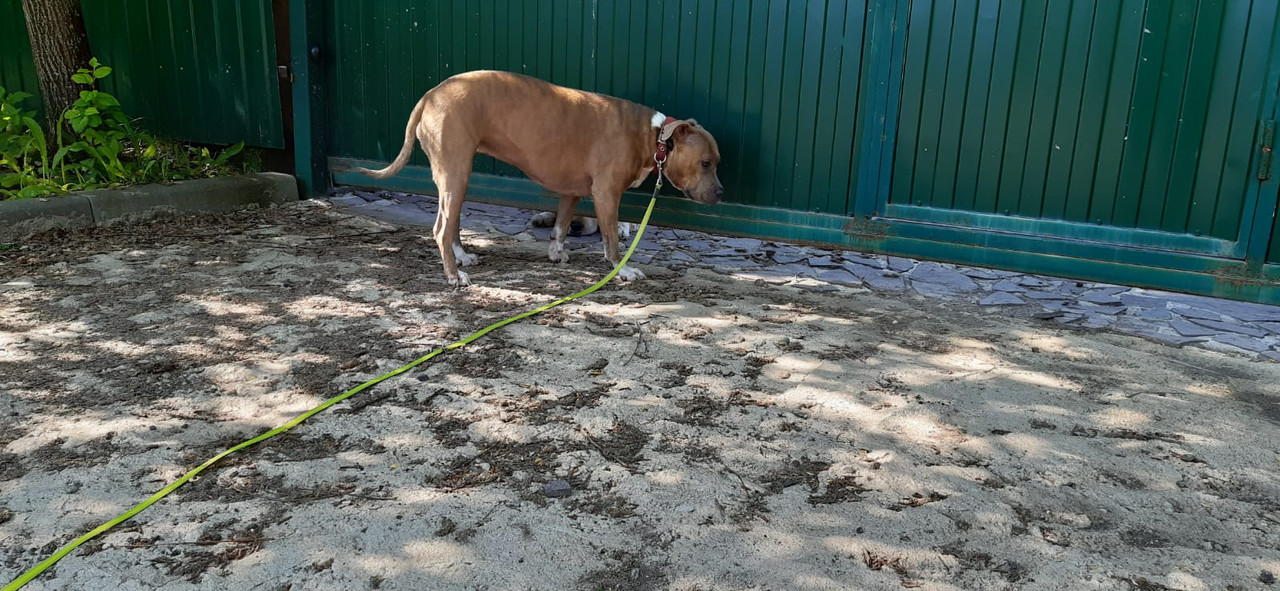 Изображение WhatsApp 2023-06-14 в 09.23.51