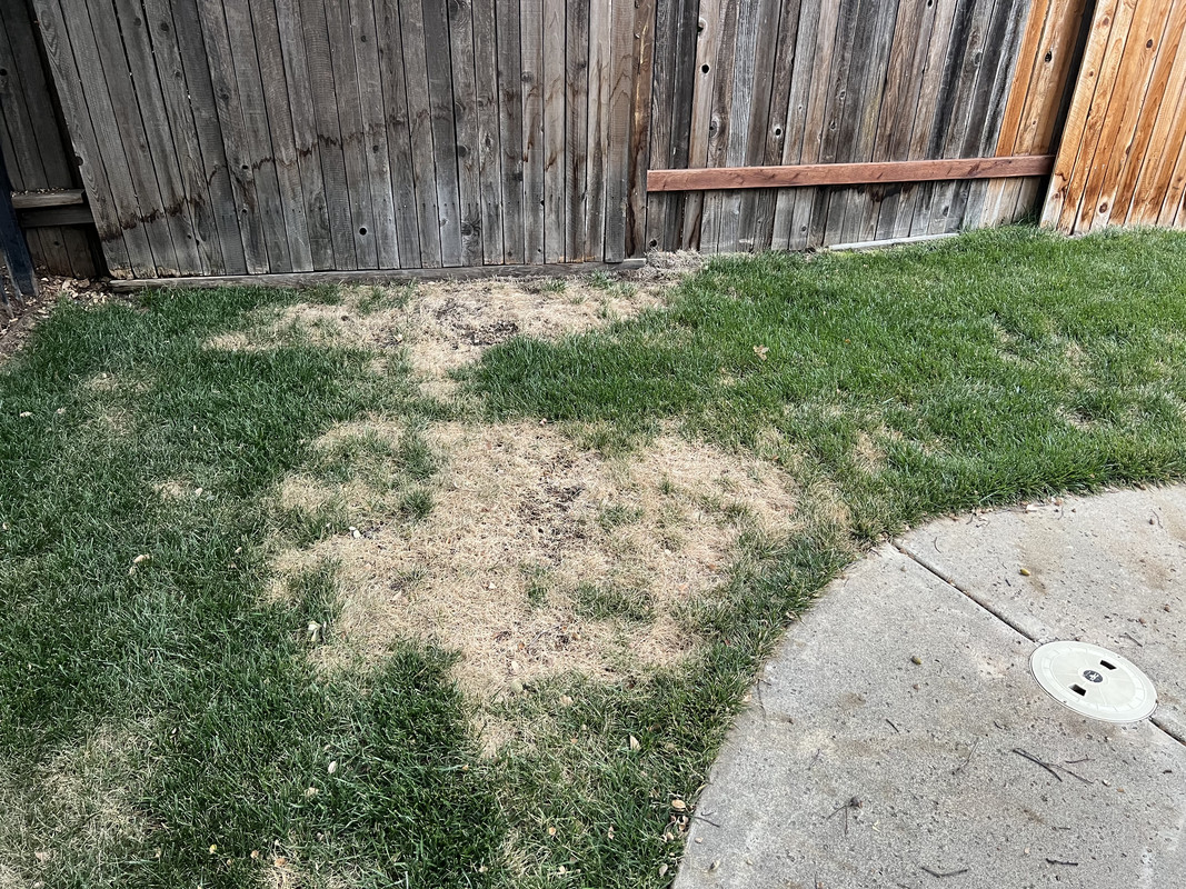 68261BEF-9A77-4DAE-8AB5-4C0854447FAA