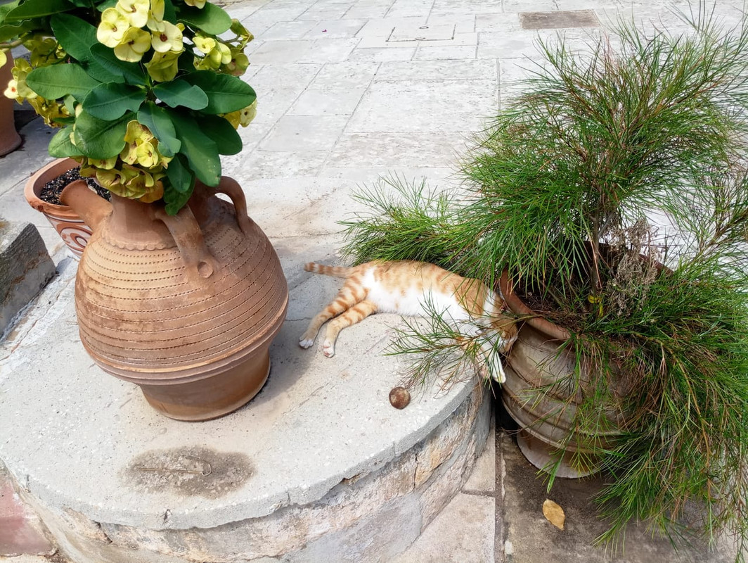 BA0775B0-A6C7-4356-8A3F-07497AFDD2FF