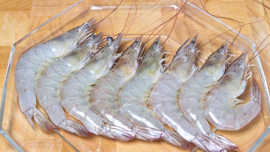 udang segar atau tidak (3)