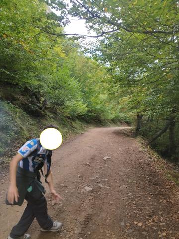 Otro puente en Asturias - Blogs de España - Domingo 11 Octubre. Ruta Valle del Lago (Somiedo) (15)