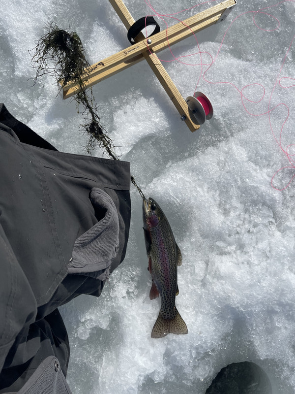 EBC5F0C7-B3D8-4F4A-8B4D-334F33D64694