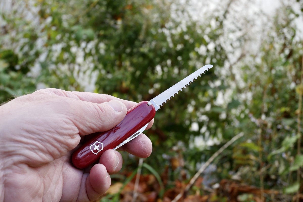 2434CA5A-0FF6-4C68-9E43-73EB9DB0BF56