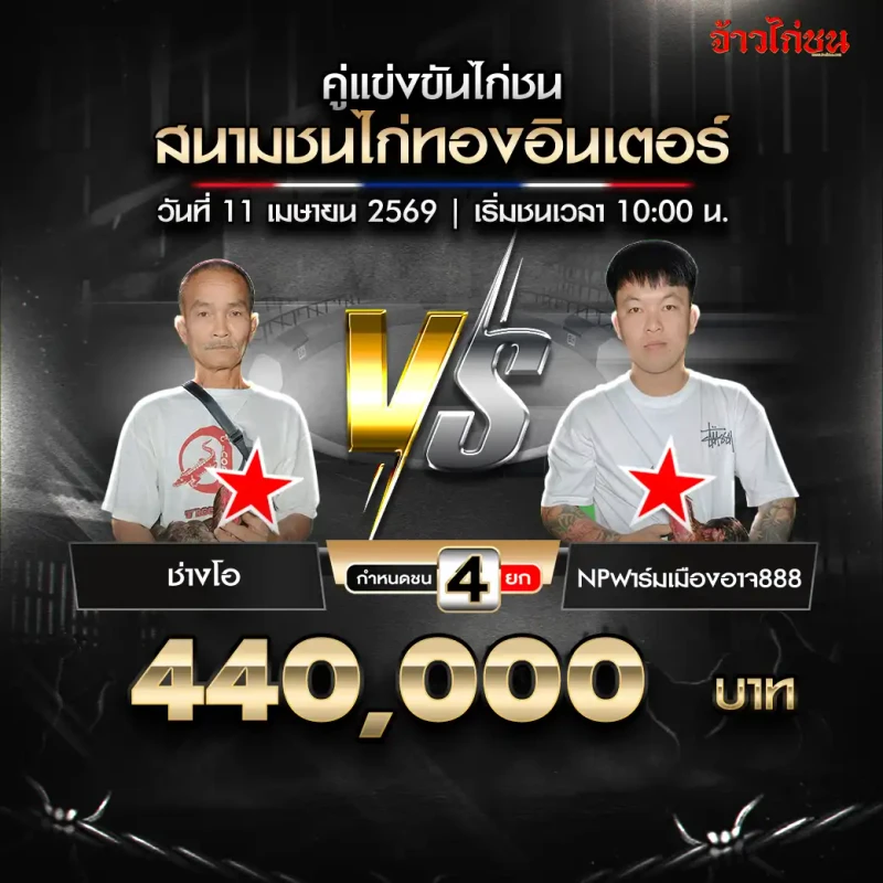 ช่างโอ พบ NPฟาร์มเมืองอาจ888 สนามชนไก่ทองอินเตอร์ 11 เมษายน 2569