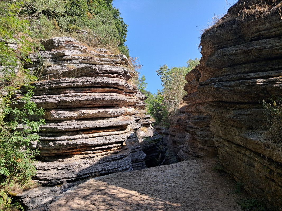 20240818-095822.jpg