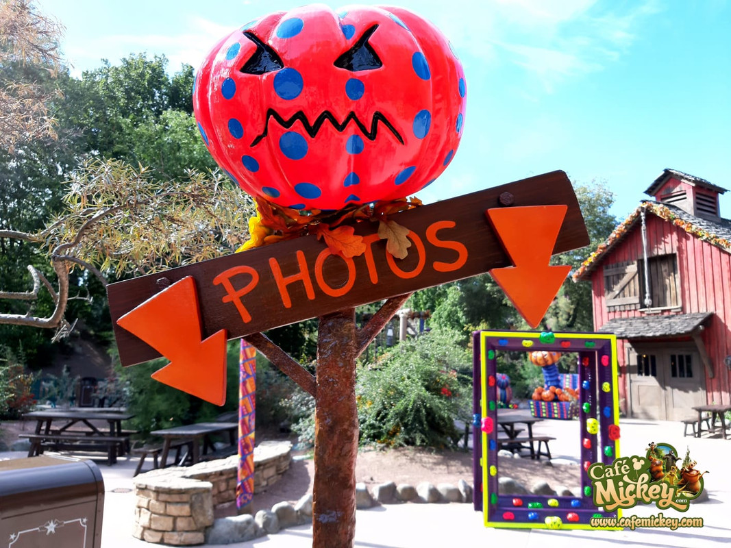 WhatsApp Image 2020-09-03 at 11.44.10 (1)