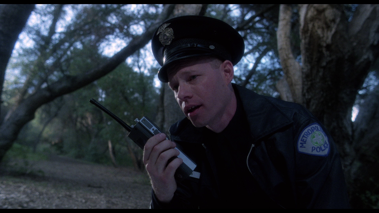 vlcsnap-2024-11-15-11h44m06s546