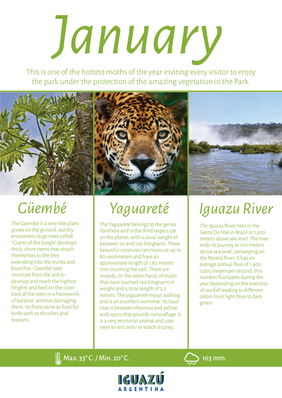 FLYER MESES CALENDARIO NATURAL ING_Mesa de trabajo 1 (4)