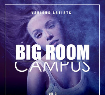 Various Artists Big Room Campus Vol 3 2021 - Various Artists - Big Room Campus Vol 3 (2021)