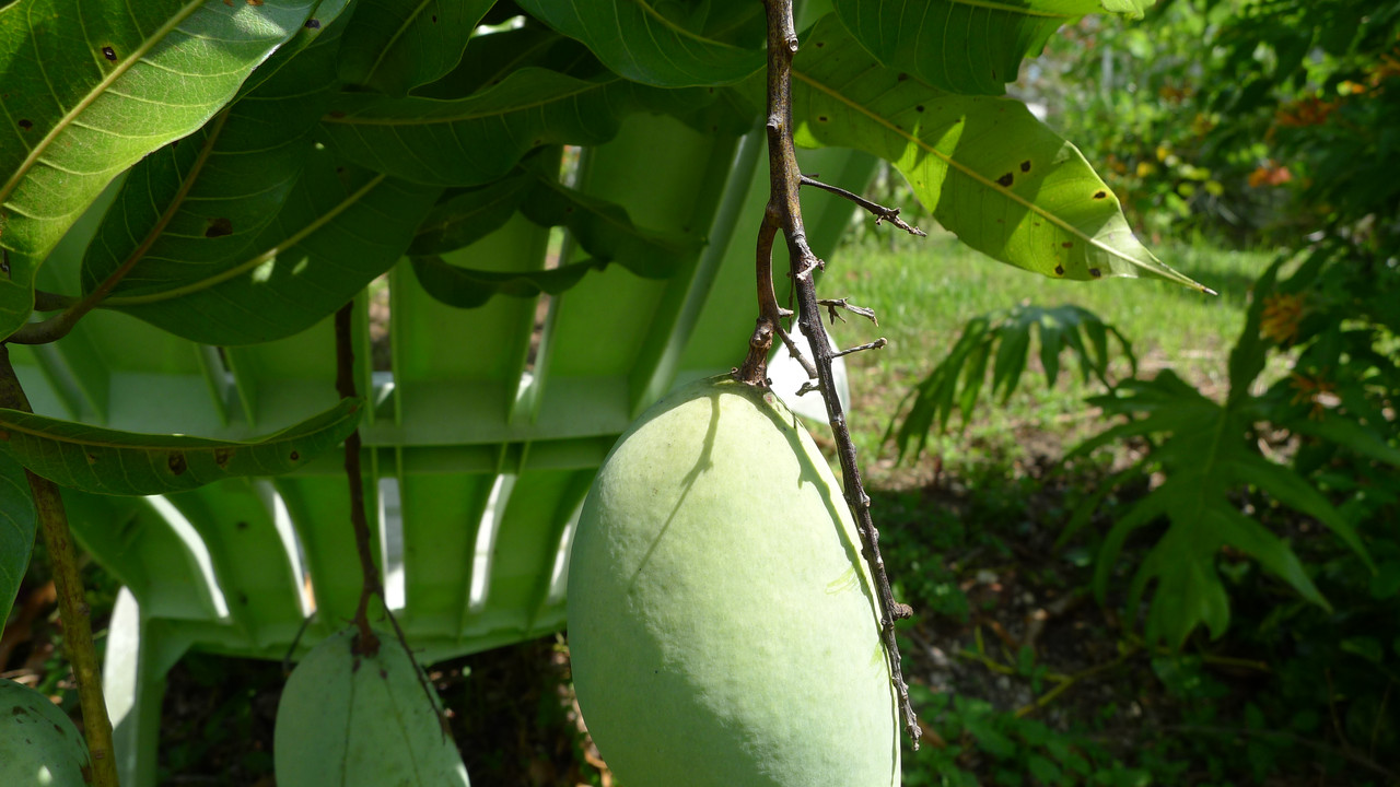 P1050030