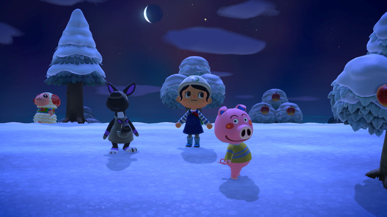 2026011601161500_02CB906EA538A35643C1E14