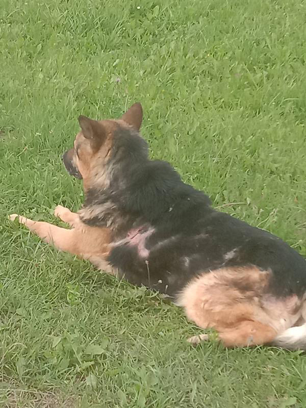 B4B34BC5-E668-4EEF-9B54-67A3CA3B924A