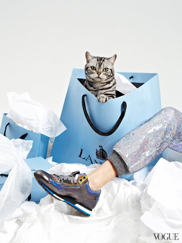 cats-kittens-flats-shoes-19-161903835352