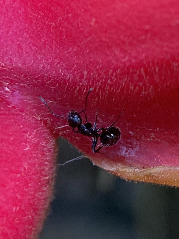 AD3C3985-FB55-4D66-9264-3B11690700BD