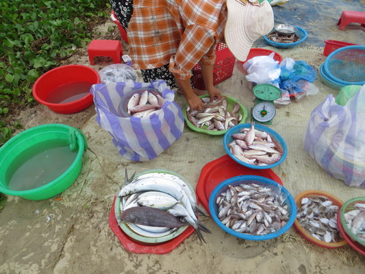 [Image: IMG-6321.jpg]