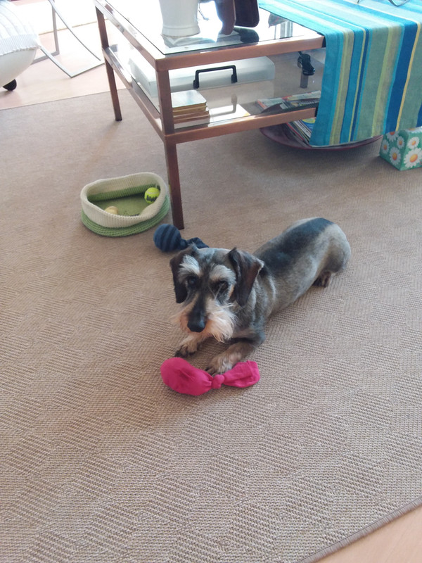 [Image: 20210424-115343.jpg]