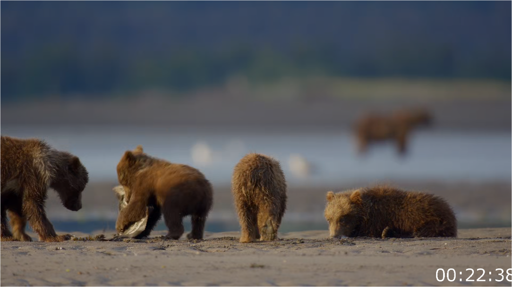 [Image: 7a4y7ns9oxah.png]