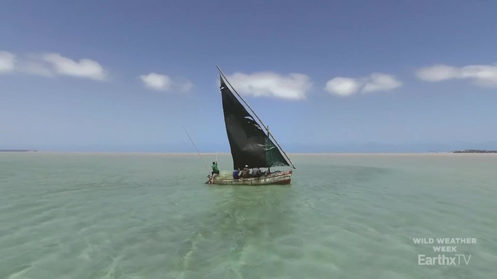 [Image: 1t0babnn6e6g.jpg]