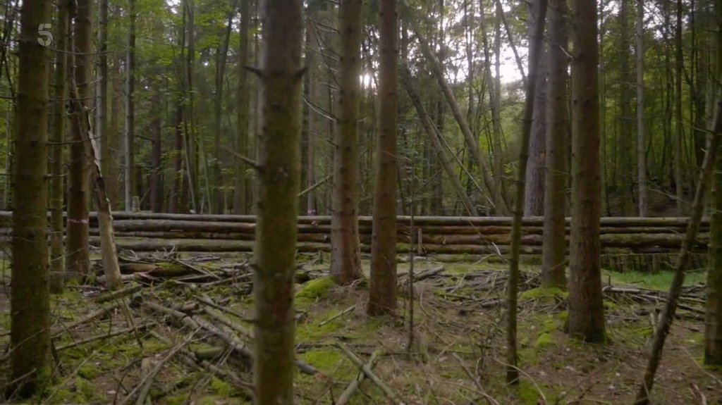 [Image: j9q9v59uixov.jpg]