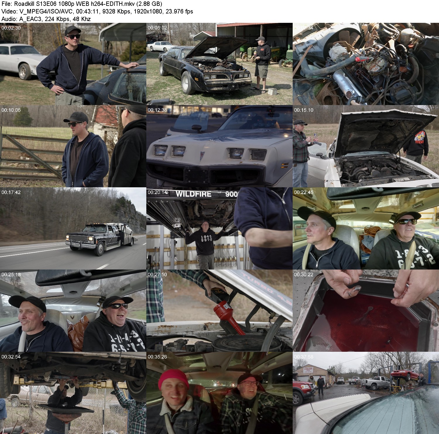 [Image: s61zh3oszpz6.jpg]