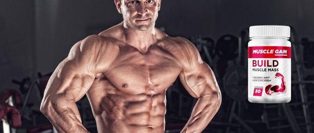 Muscle Gain gdzie można nabyć?