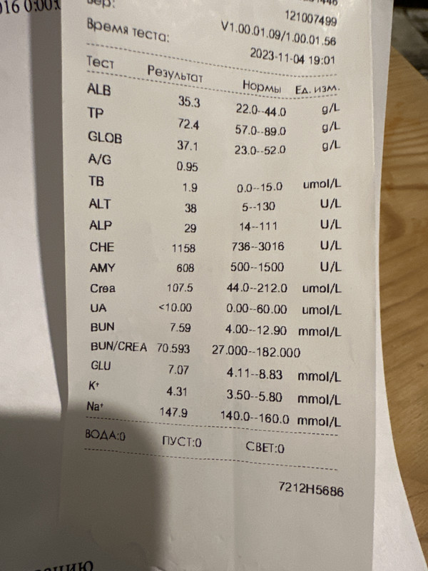 image-07-11-23-10-50