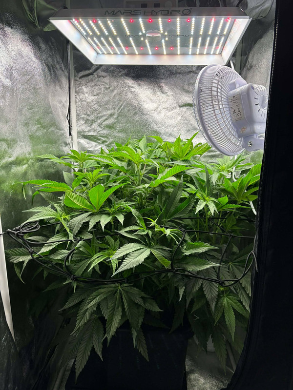 583192374 806088299093326 7355927997693527561 n