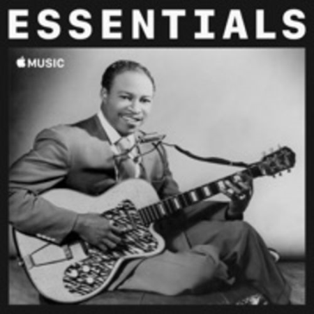 Jimmy Reed - Essentials (2021)