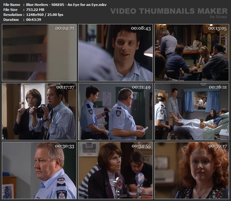 Blue Heelers - S06E05 - An Eye for an Eye.mkv