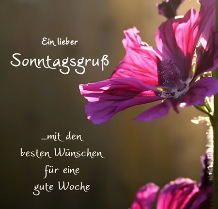 sonntag-(2)